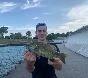 Smallmouth Bass