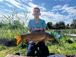 Common Carp