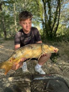 Leather Carp