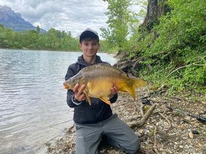 Mirror Carp