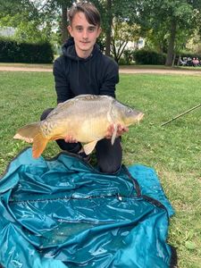 Mirror Carp