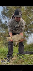 Crucian Carp
