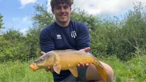 Mirror Carp