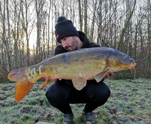 Mirror Carp