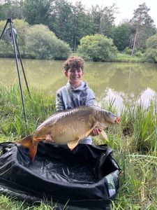 Mirror Carp