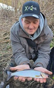 Grayling