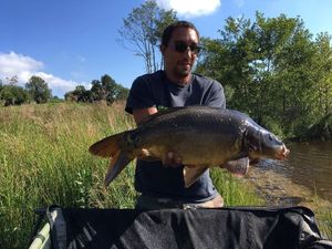 Mirror Carp