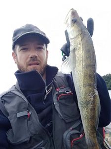 Zander
