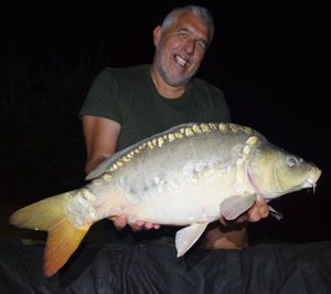 Mirror Carp