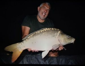 Mirror Carp