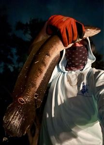 Snakehead