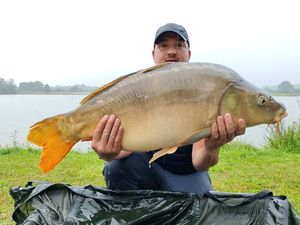 Mirror Carp