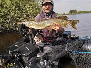 Northern Pike