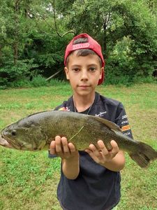 Largemouth Bass