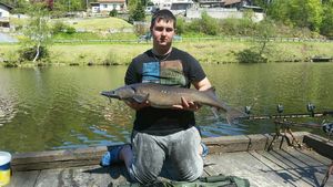 Sturgeon