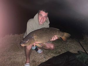Common Carp