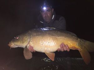 Mirror Carp