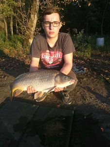 Mirror Carp