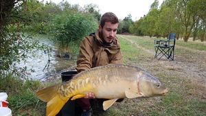 Mirror Carp