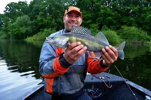 Zander