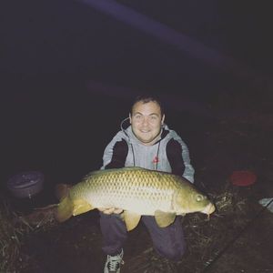 Common Carp