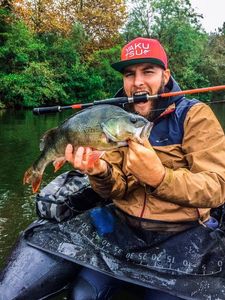 European Perch
