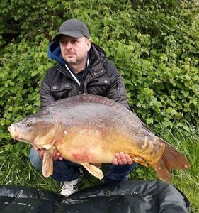 Mirror Carp