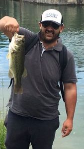 Largemouth Bass