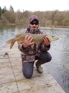 Northern Pike