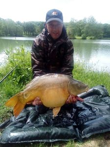 Mirror Carp