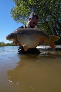 Mirror Carp