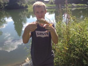 European Perch
