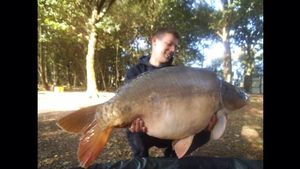 Mirror Carp