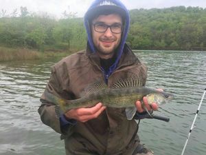Zander