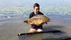 Mirror Carp