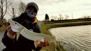 Northern Pike