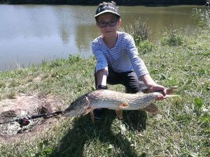 Northern Pike