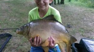 Mirror Carp