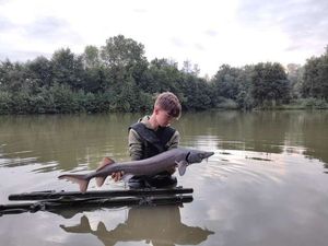 Sturgeon