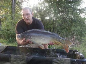 Mirror Carp