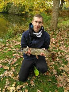 Northern Pike