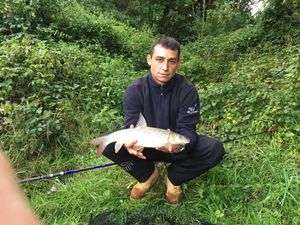 Barbel