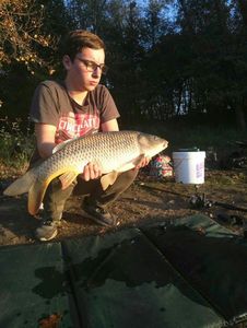 Common Carp