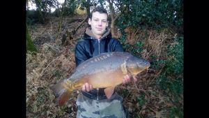 Mirror Carp