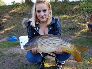 Common Carp