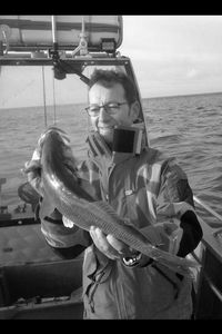 European Bass (Seabass)