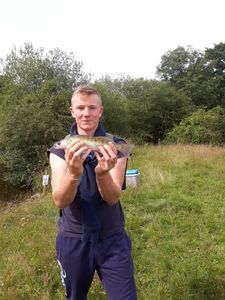 Zander