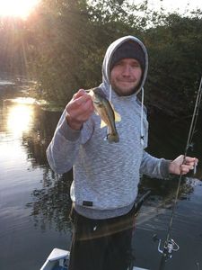Largemouth Bass