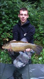 Tench