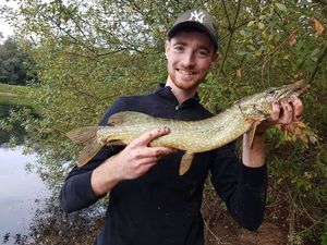 Northern Pike